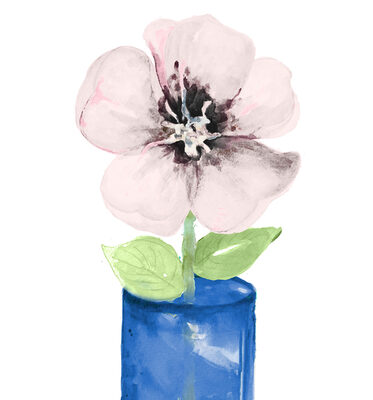 Image Not Available